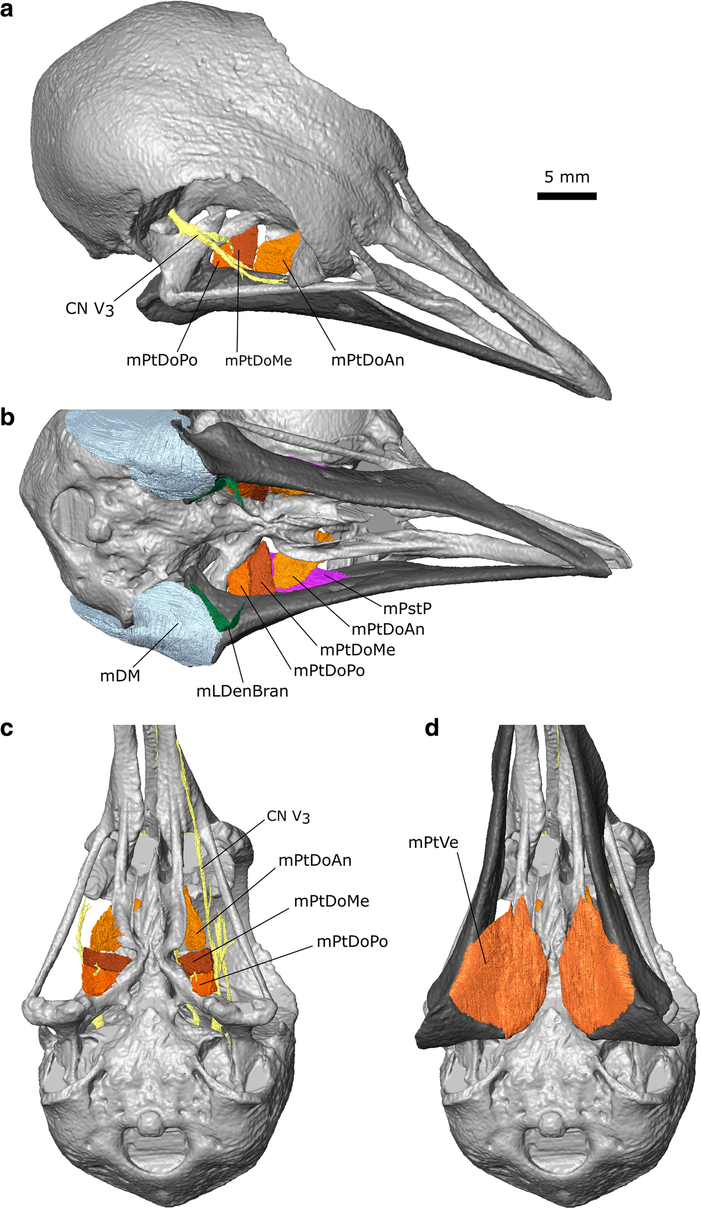 Fig. 10