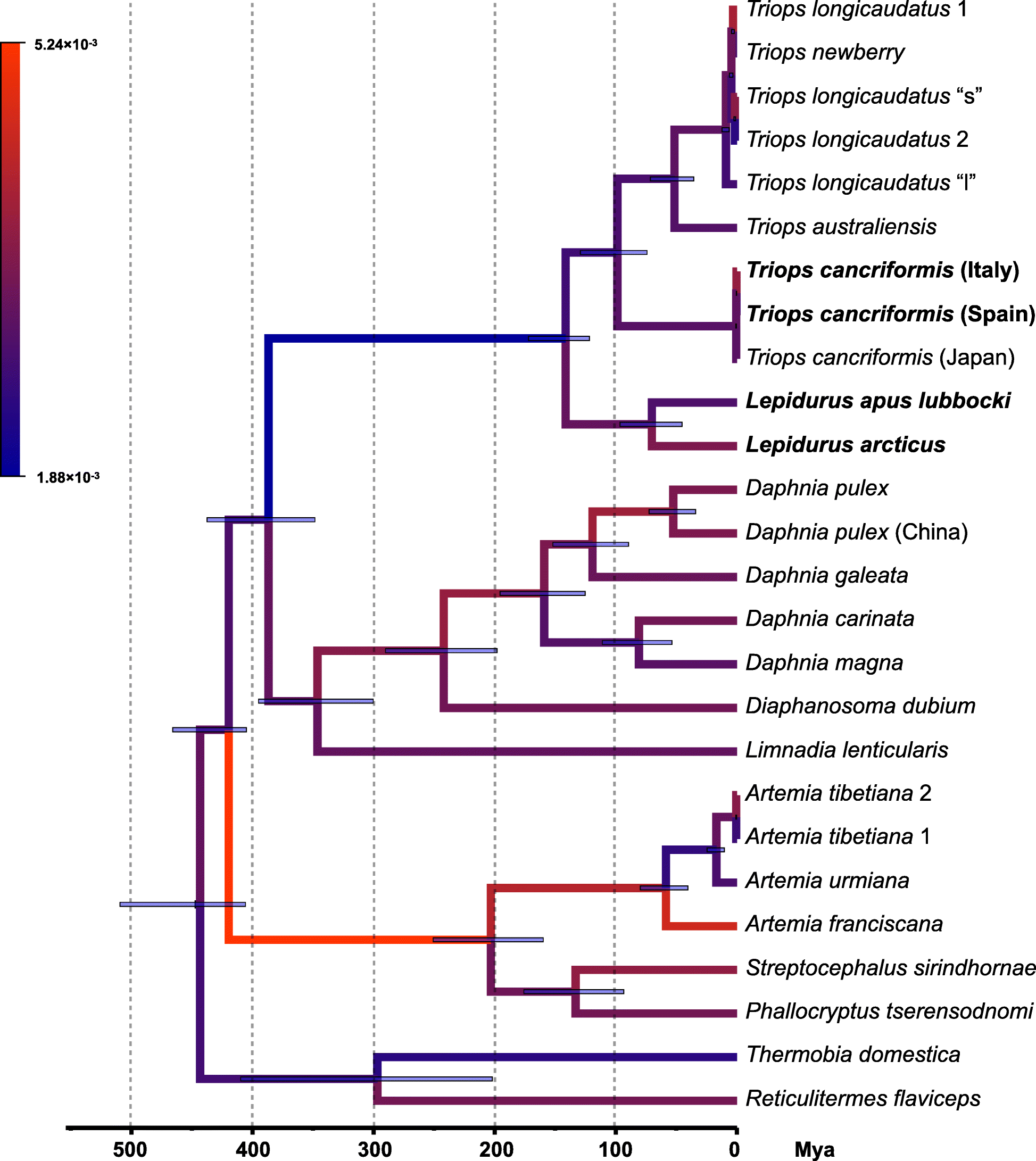 Fig. 5