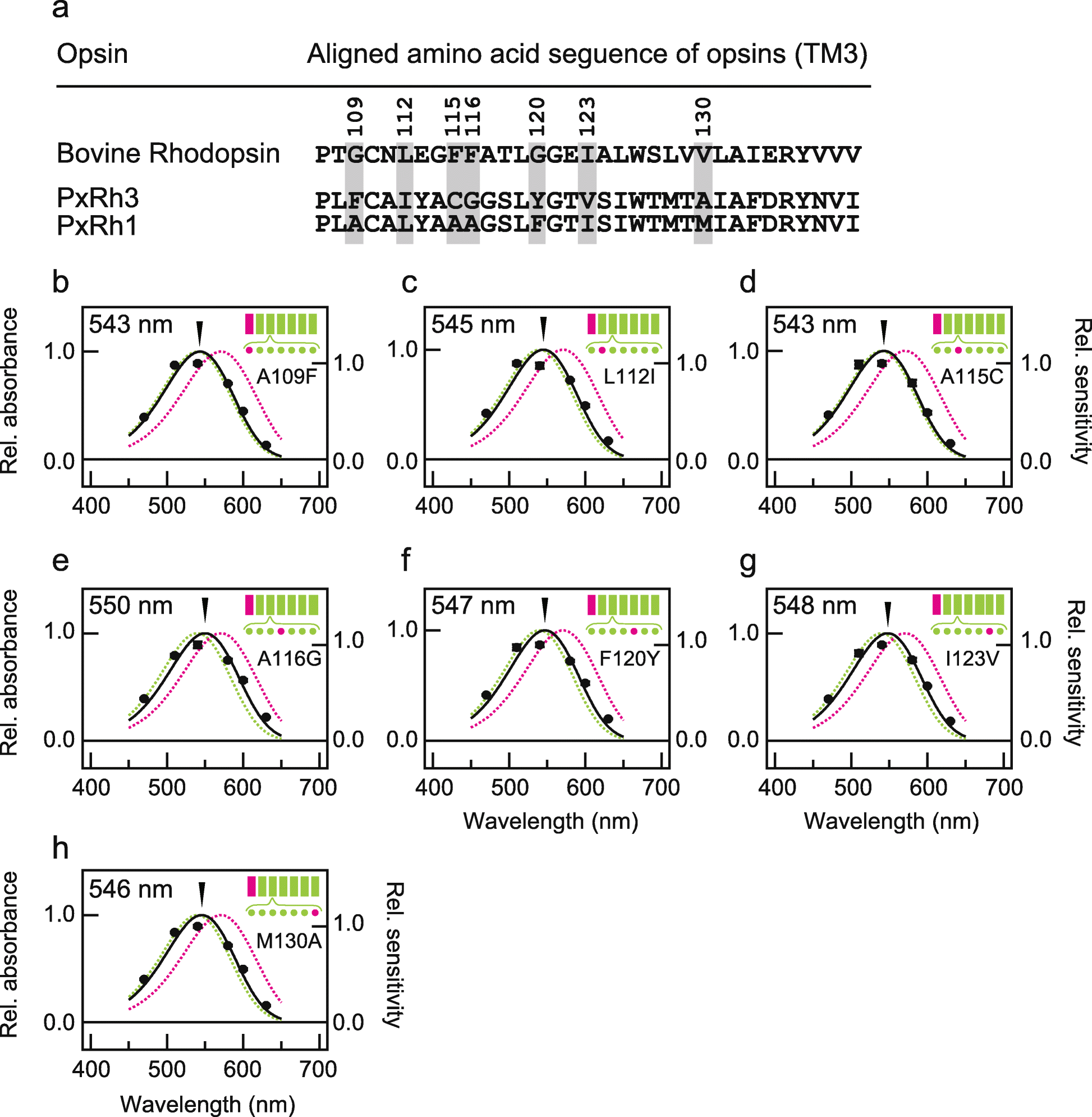 Fig. 5