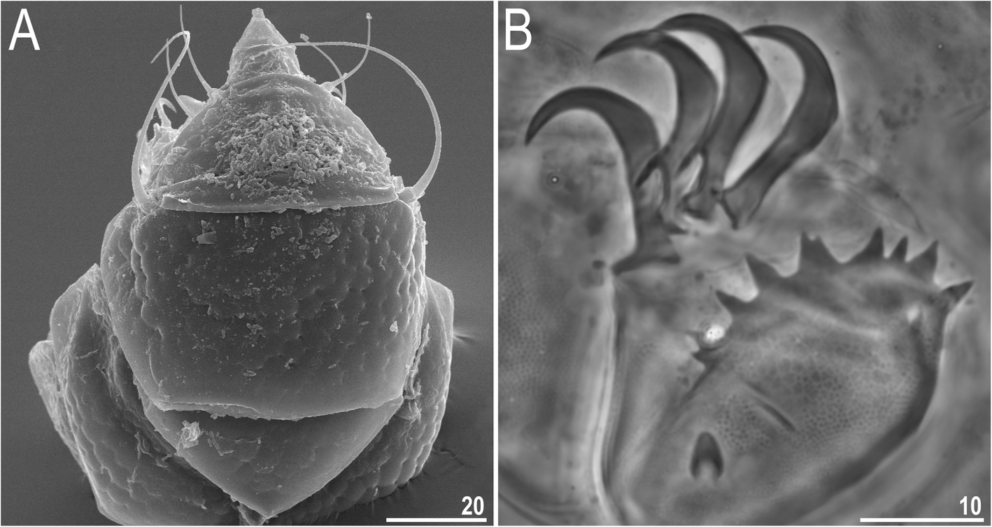 Fig. 11