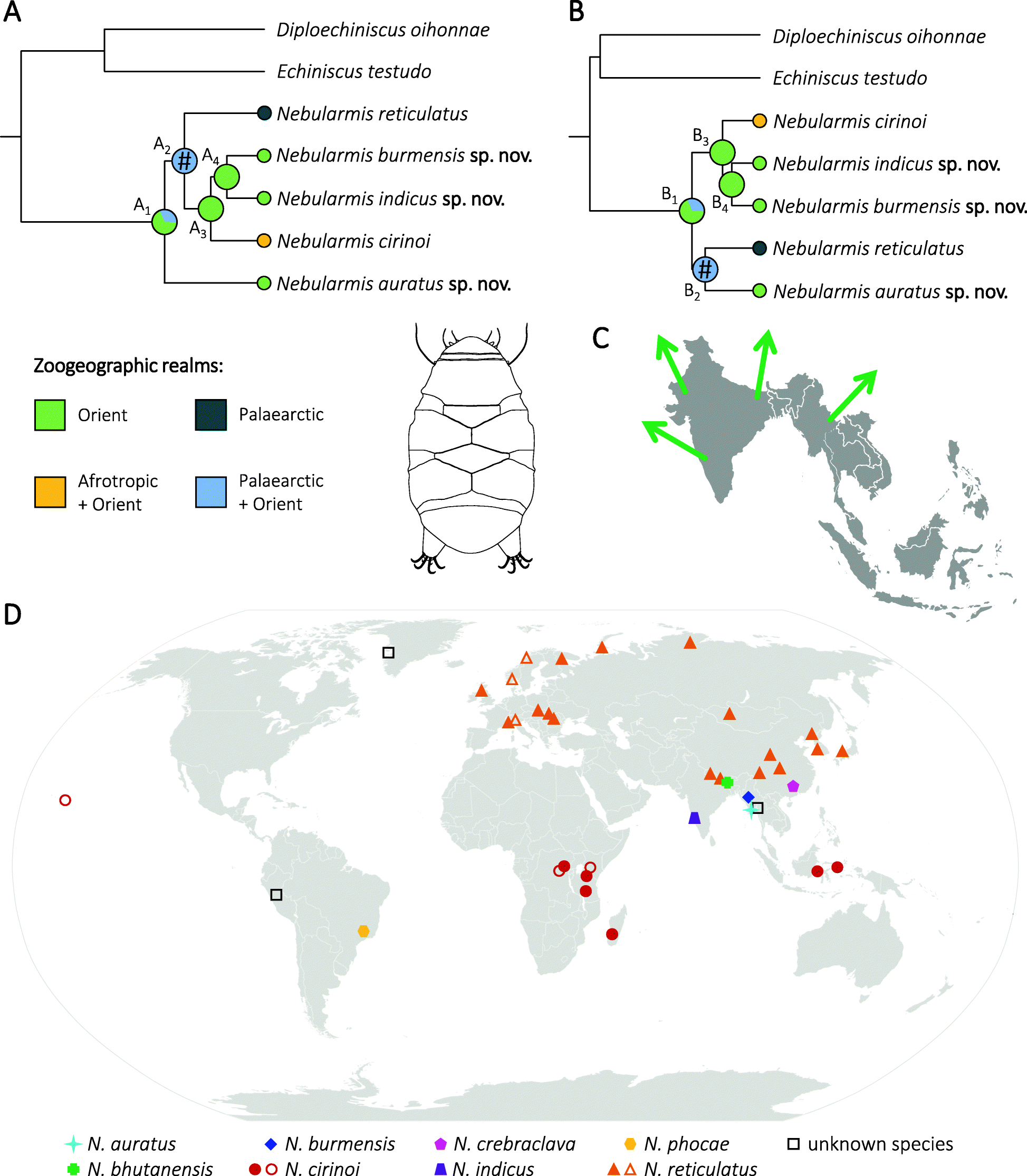 Fig. 17