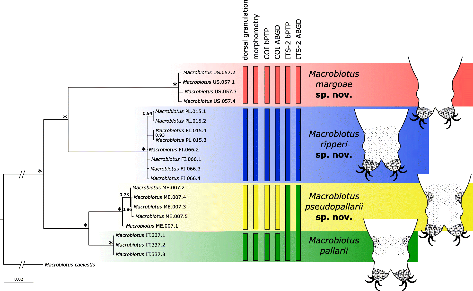 Fig. 1