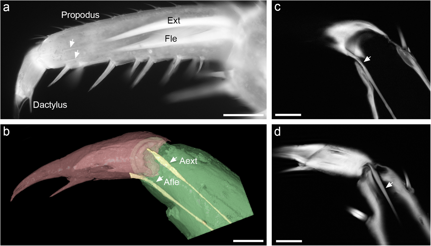 Fig. 3