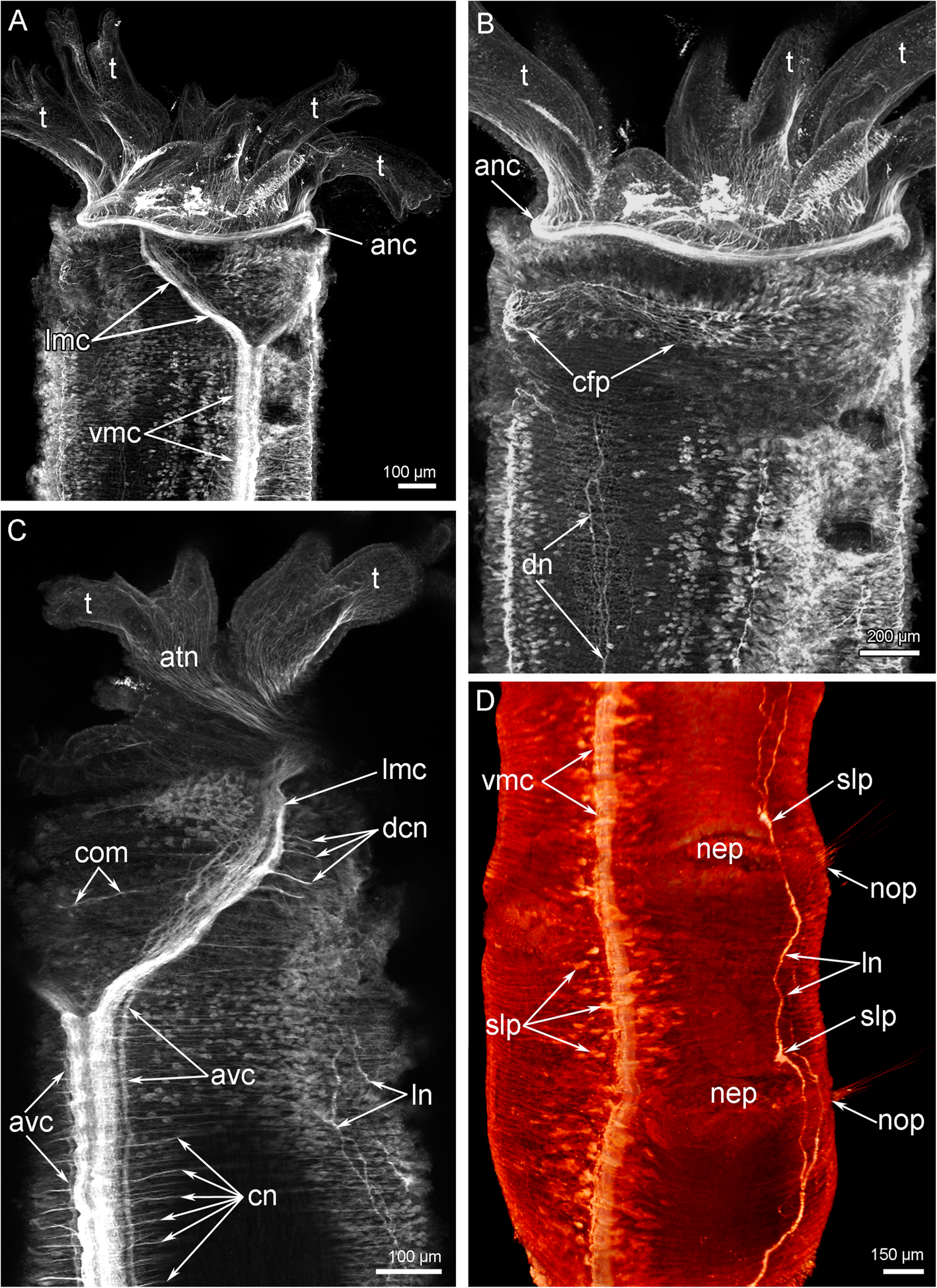 Fig. 10