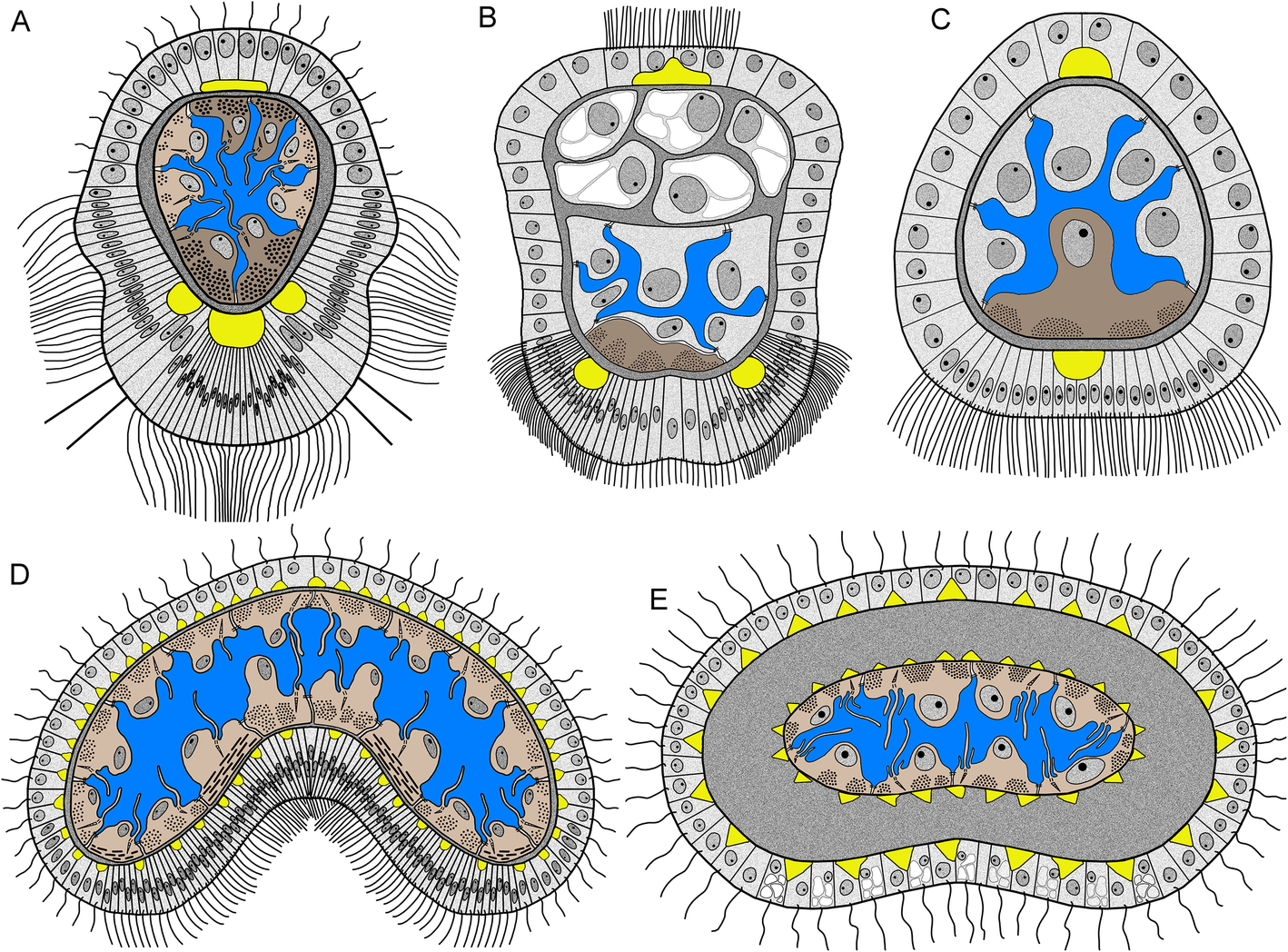 Fig. 13