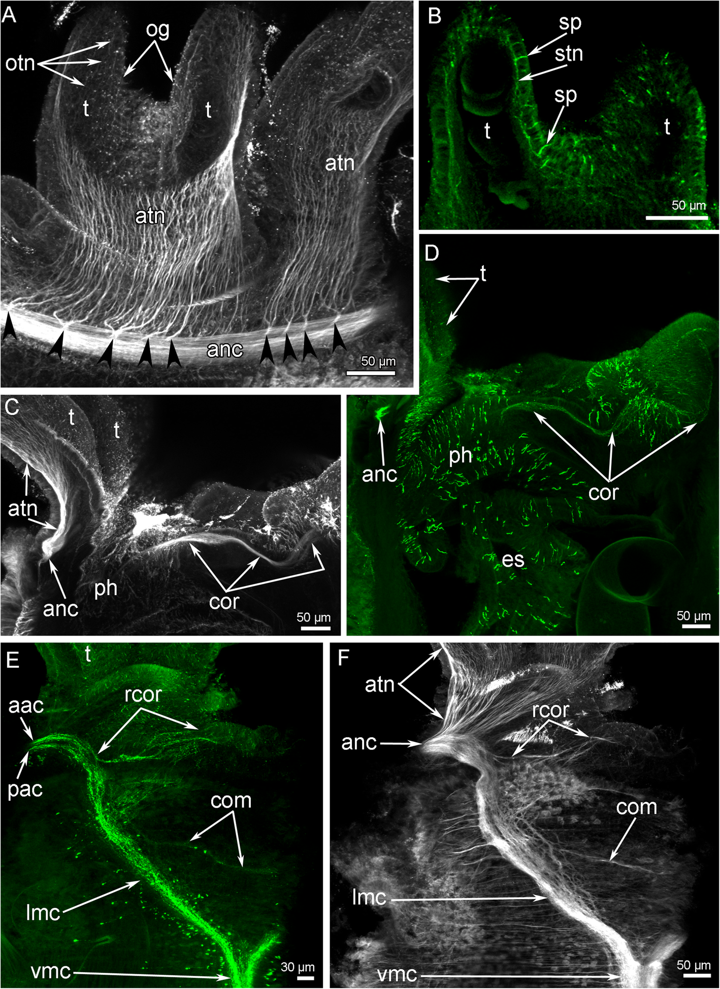 Fig. 9