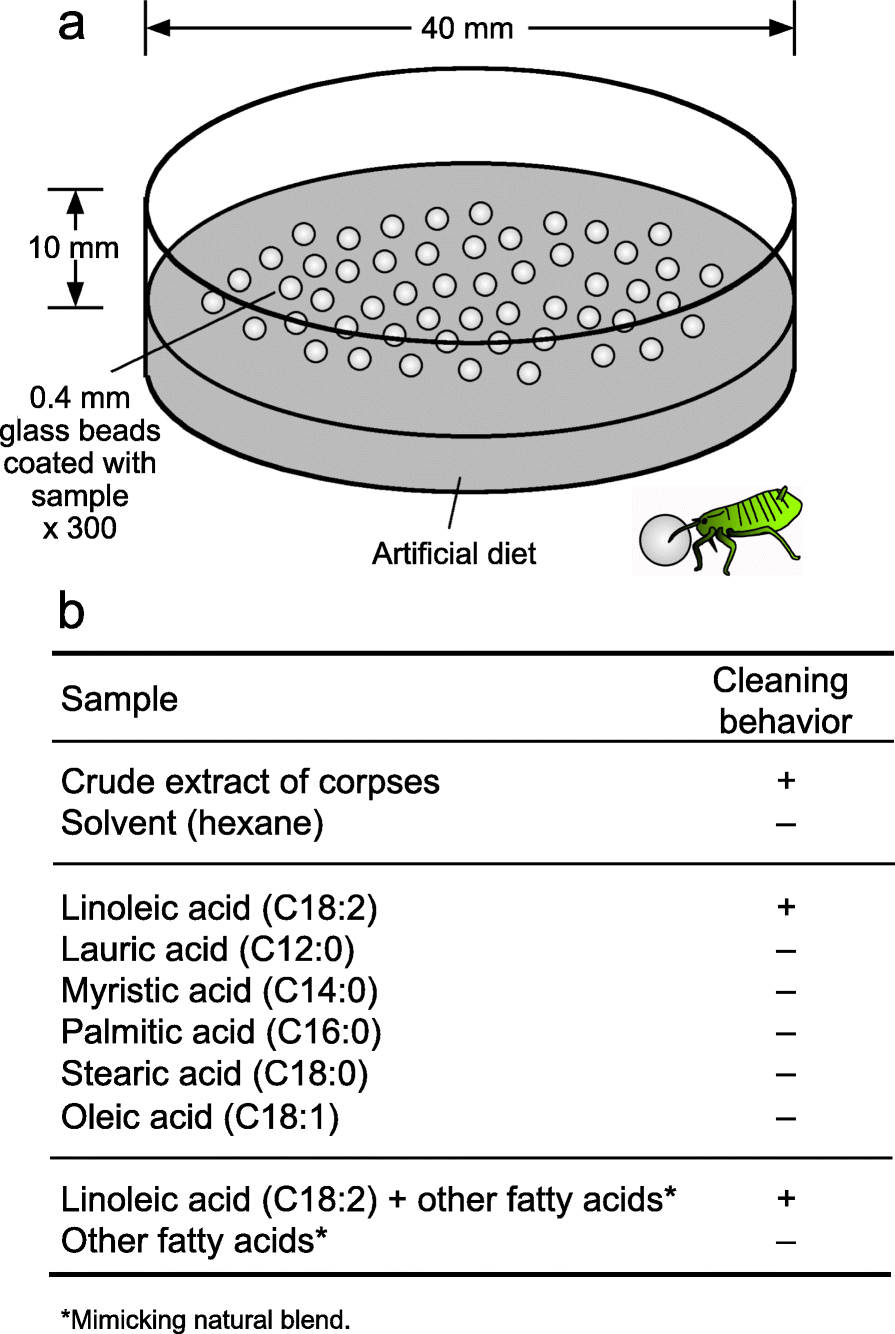 Fig. 5