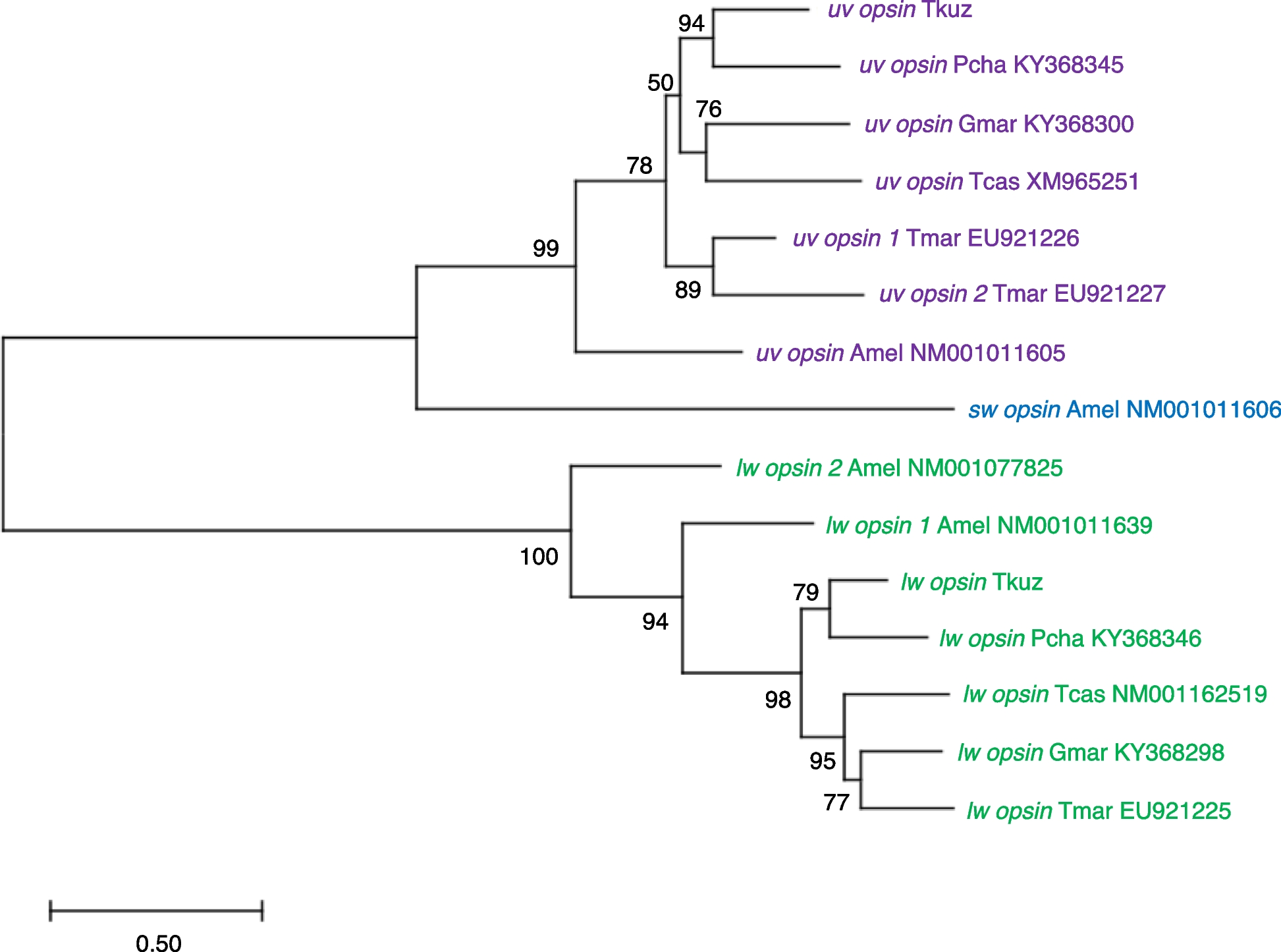 Fig. 3