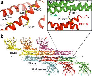 Fig. 4