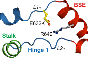 Fig. 5