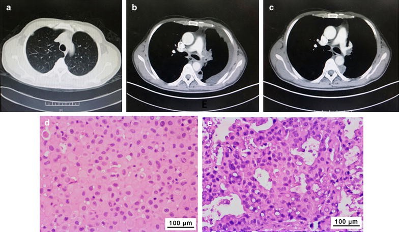 Fig. 3