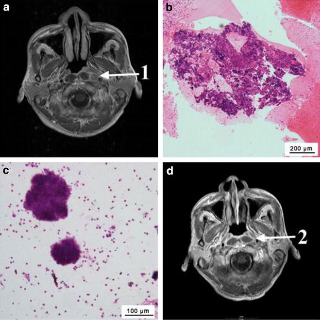 Fig. 3