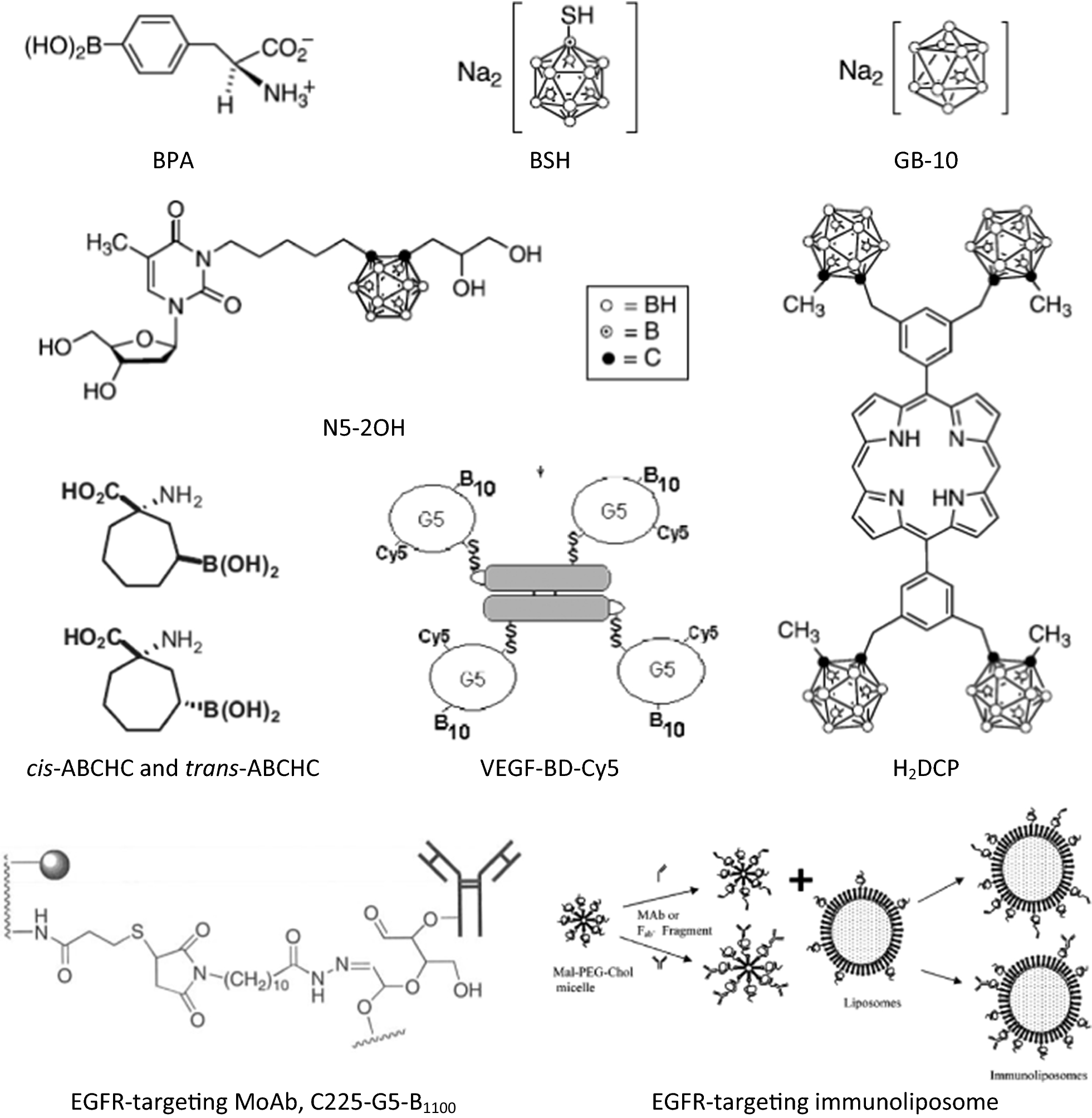 Fig. 2