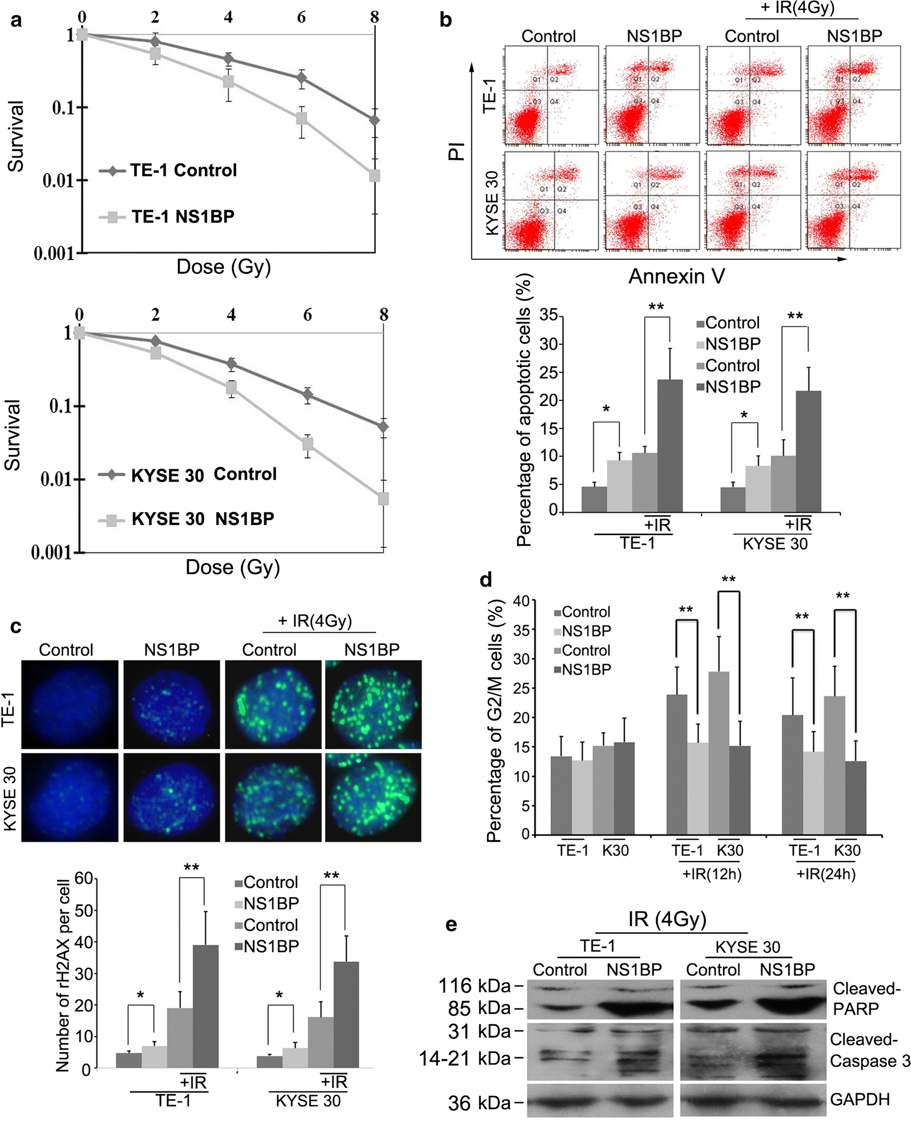 Fig. 3