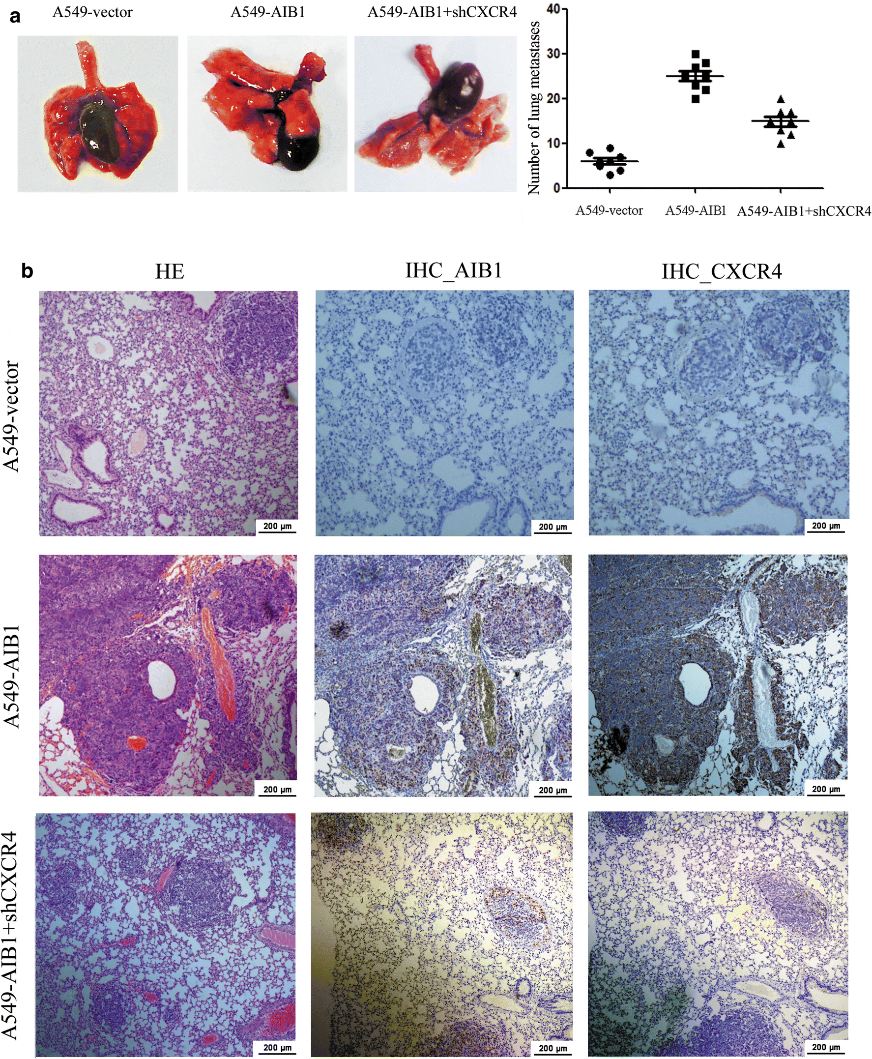 Fig. 5