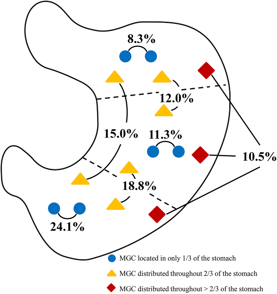 Fig. 2