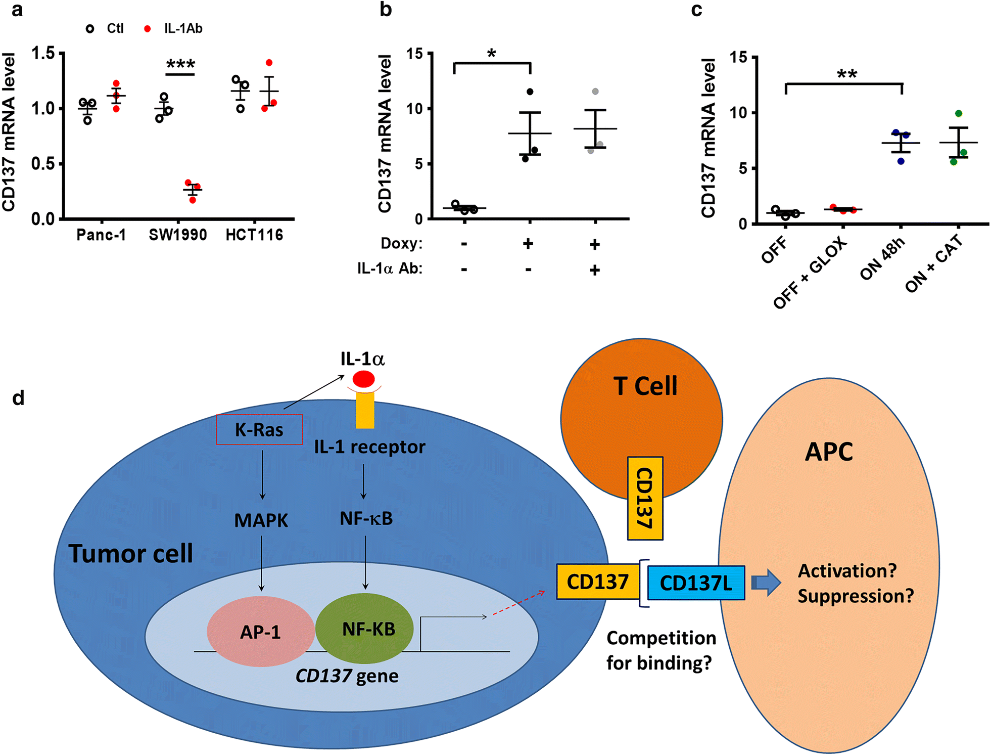 Regulation of CD137 expression through K-Ras signaling in pancreatic cancer  cells | Cancer Communications | Full Text