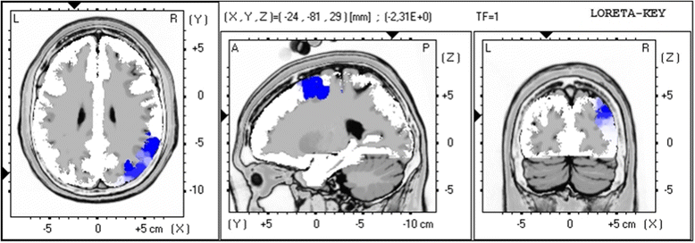 Fig. 5