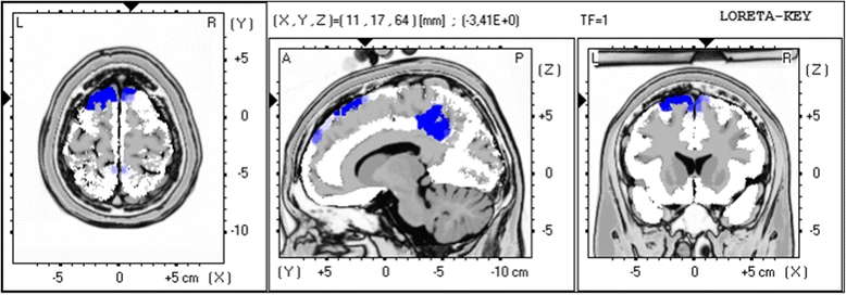 Fig. 8