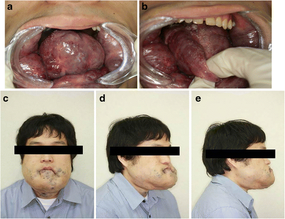 Fig. 3