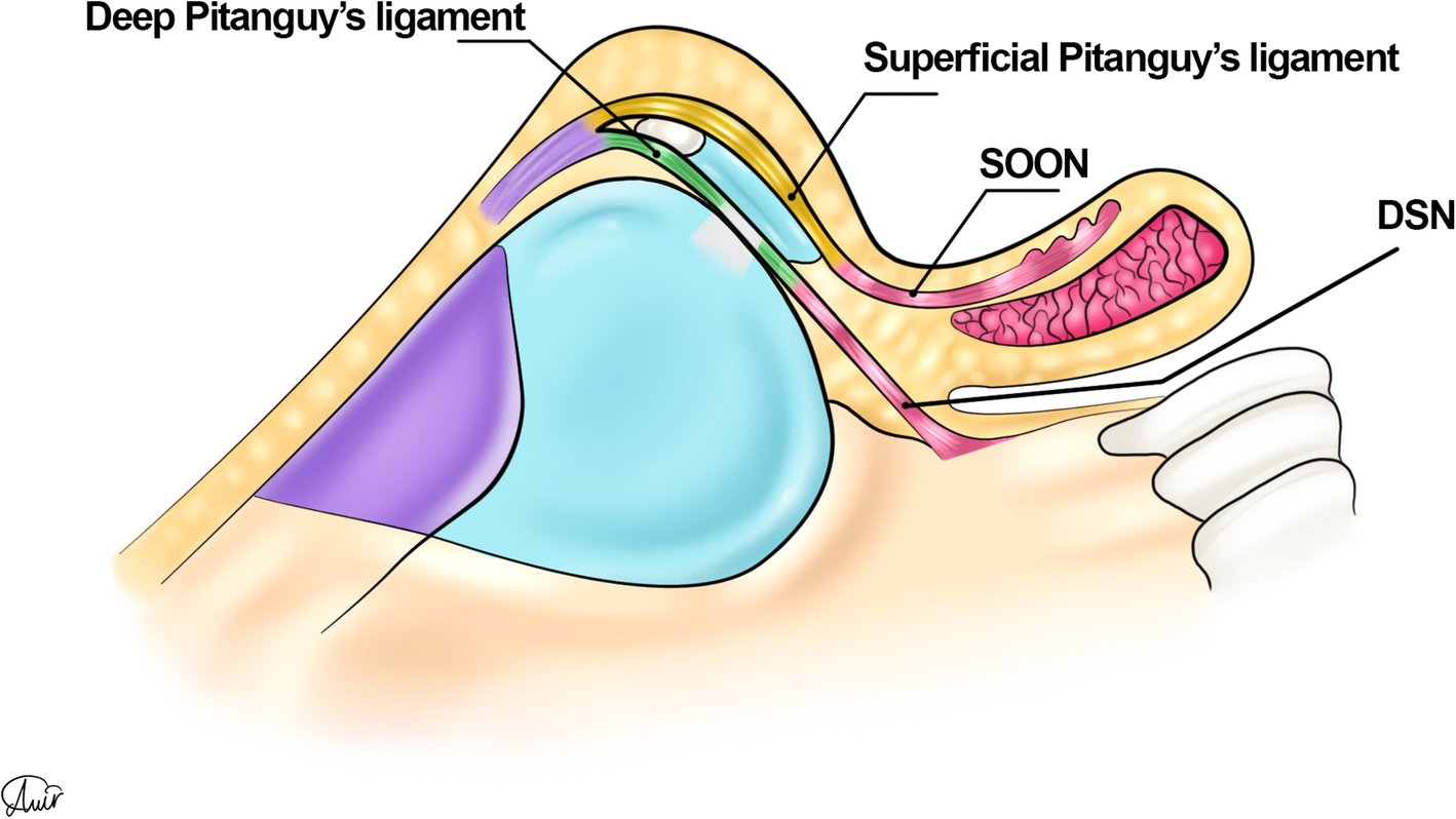 Fig. 15