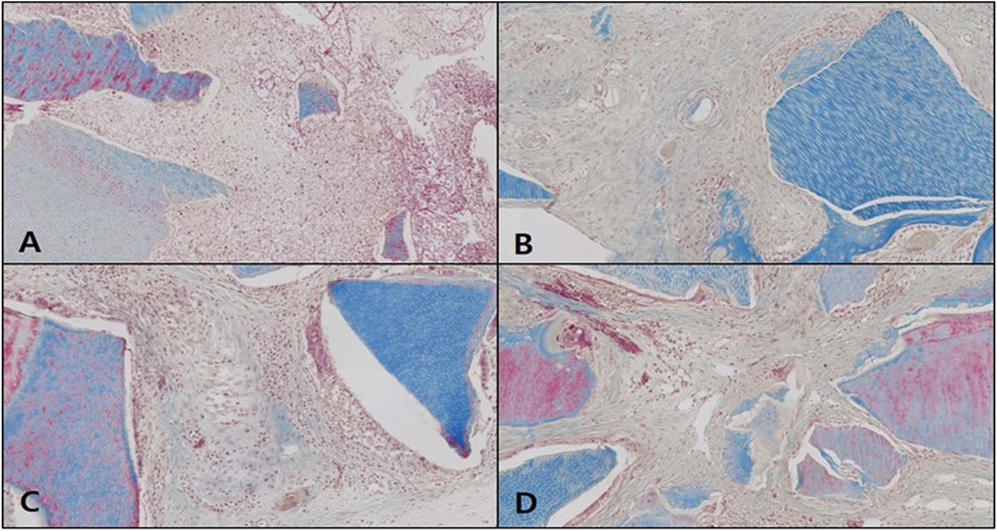 Fig. 11