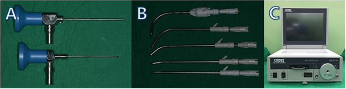 Fig. 1