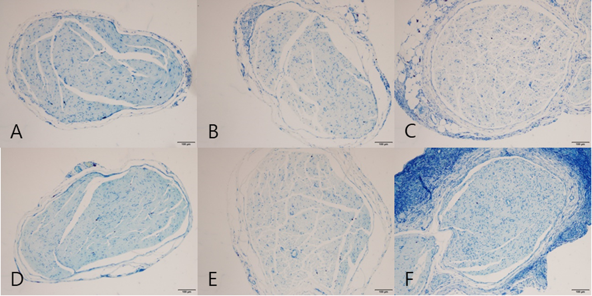 Fig. 10