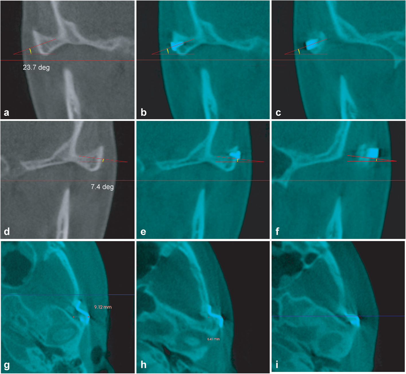 Fig. 6