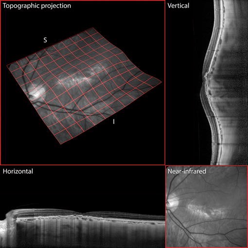 Figure 2