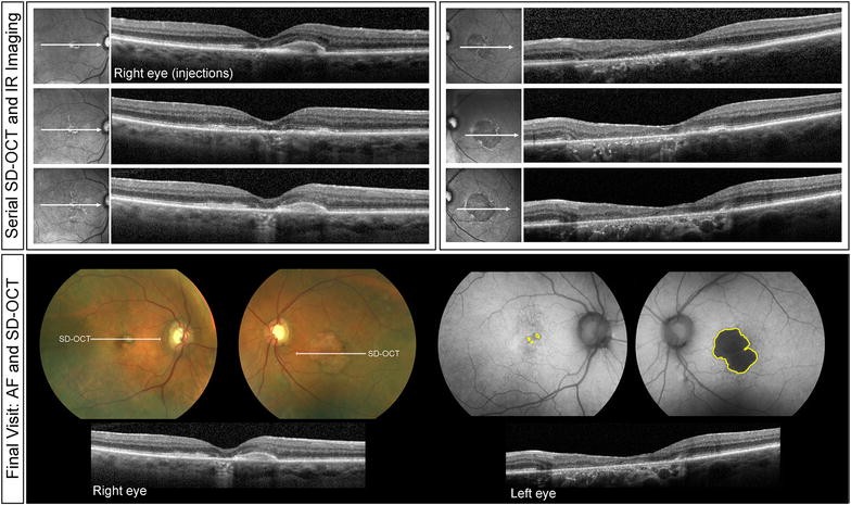 Fig. 6