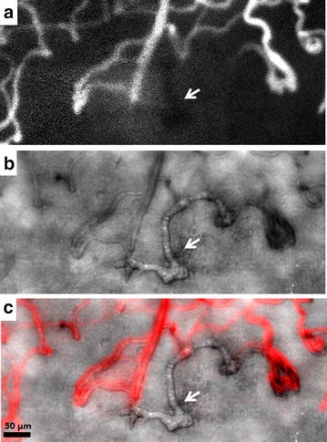 Fig. 9