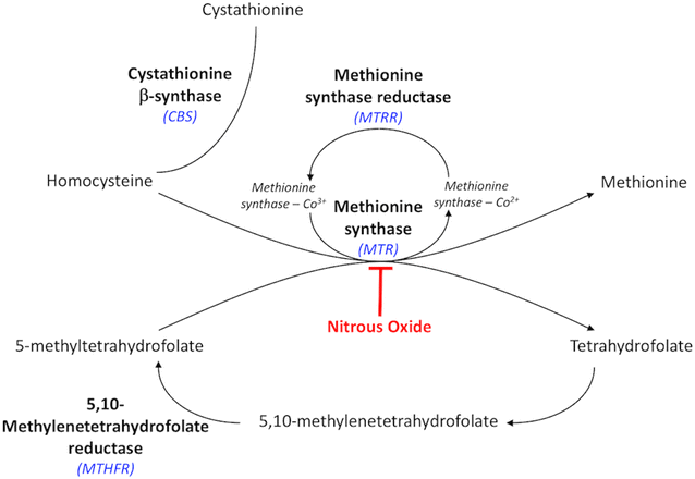 Fig. 1