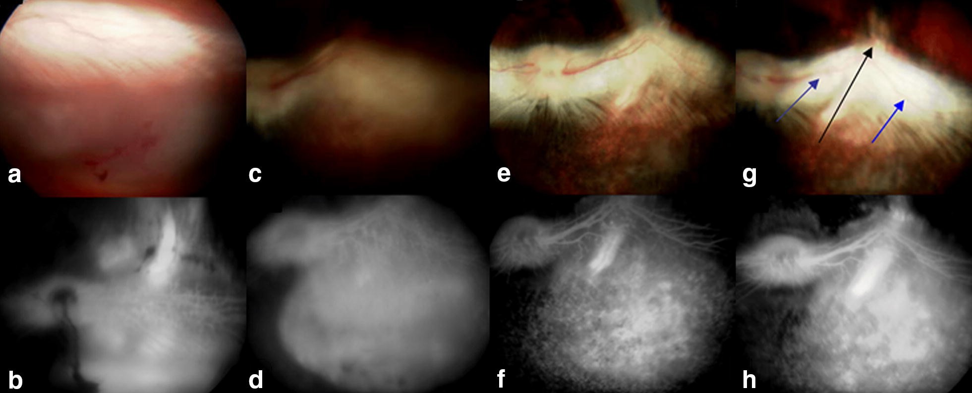 Fig. 4