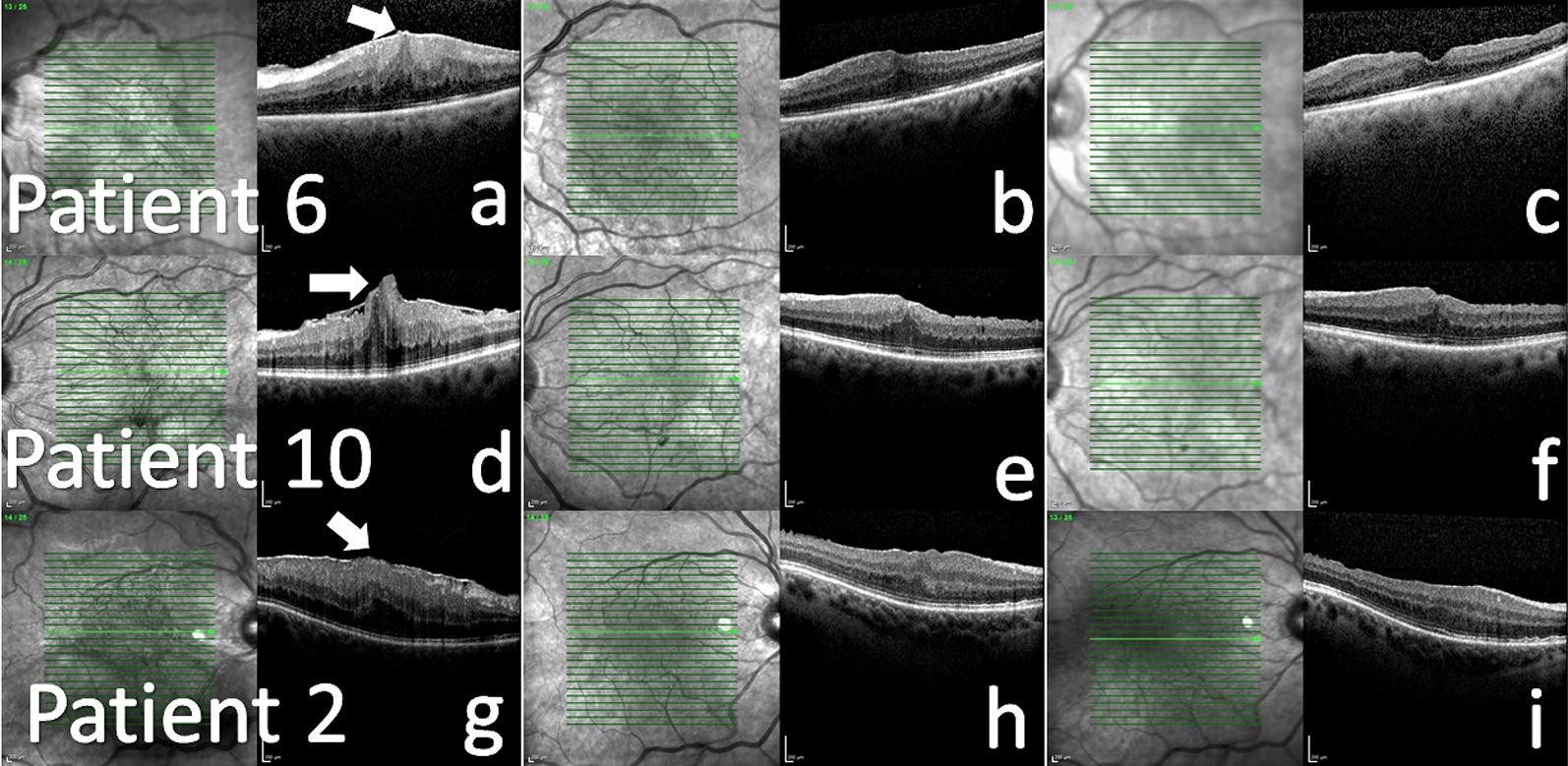 Fig. 2