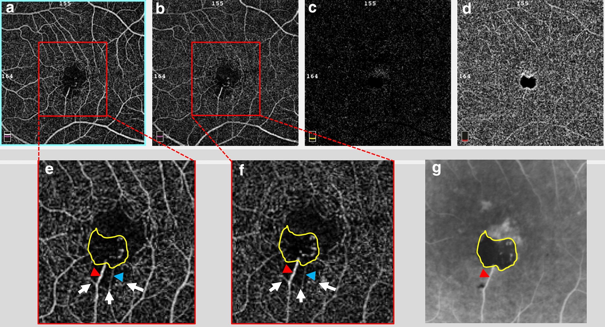 Fig. 3