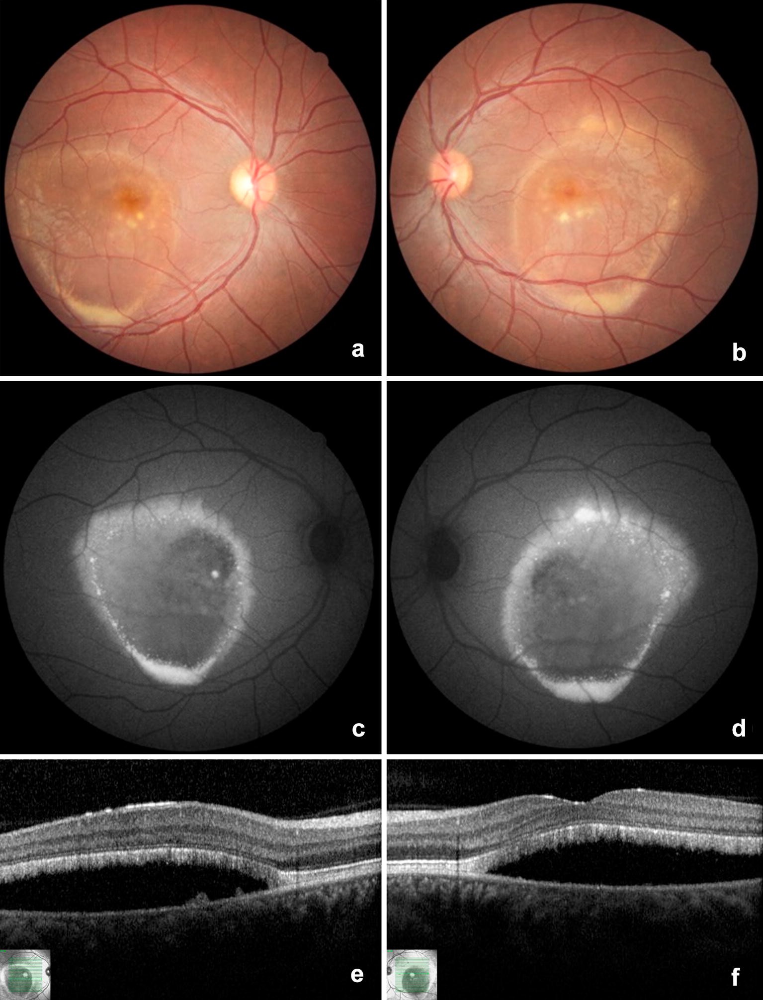 Fig. 8