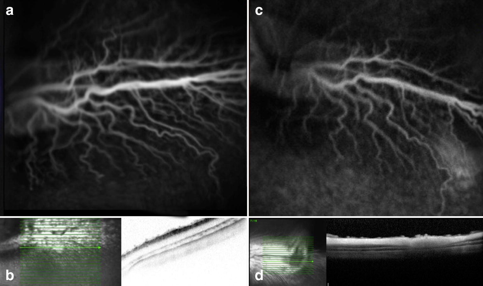 Fig. 6