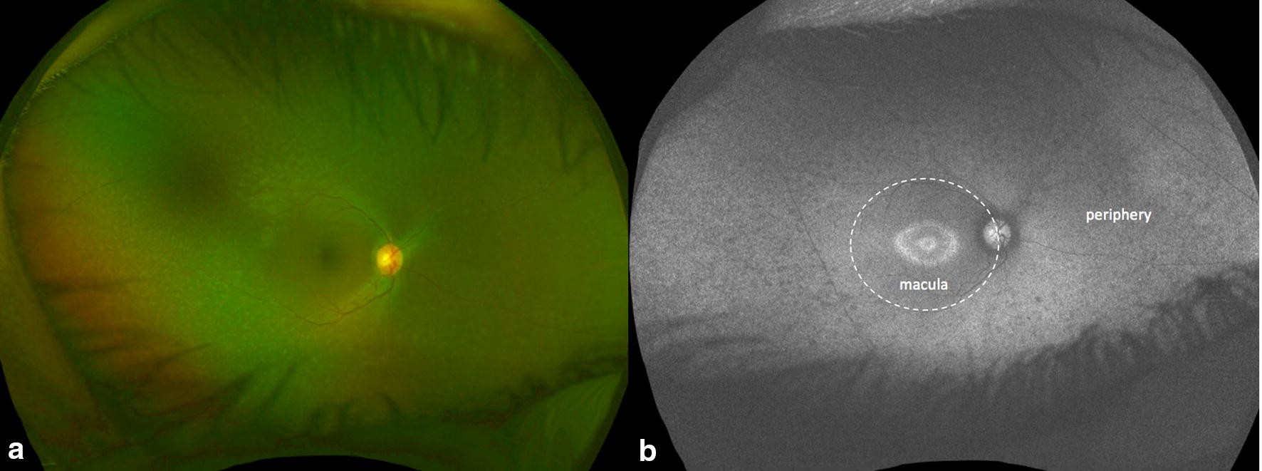 Fig. 2