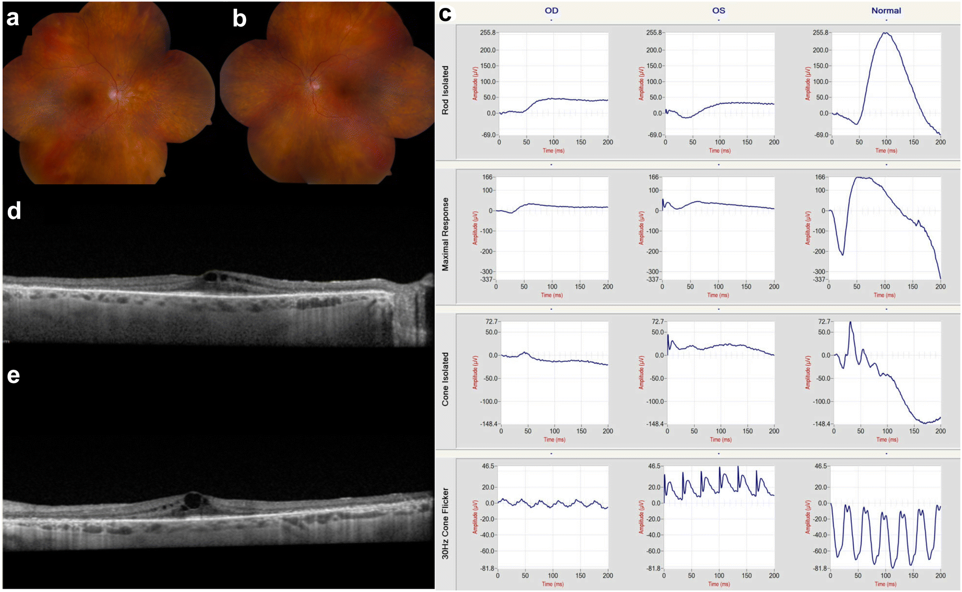 Fig. 1