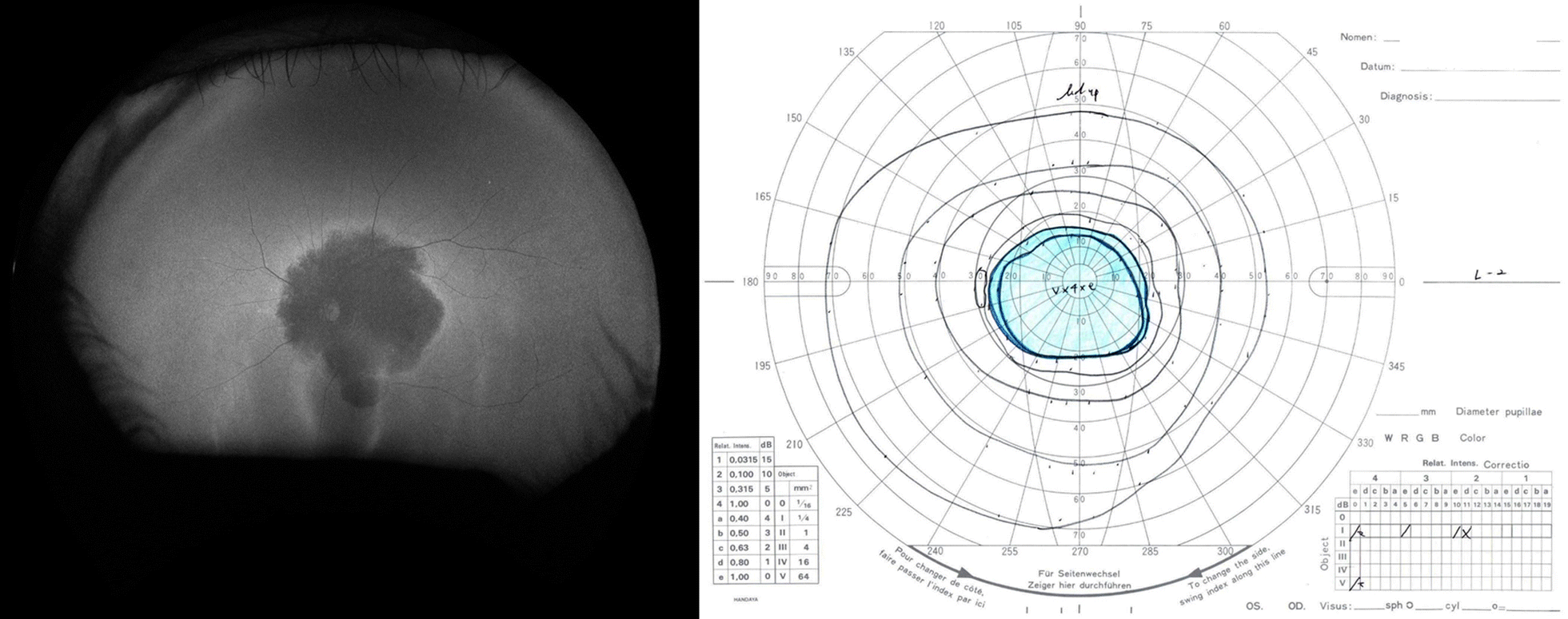 Fig. 7