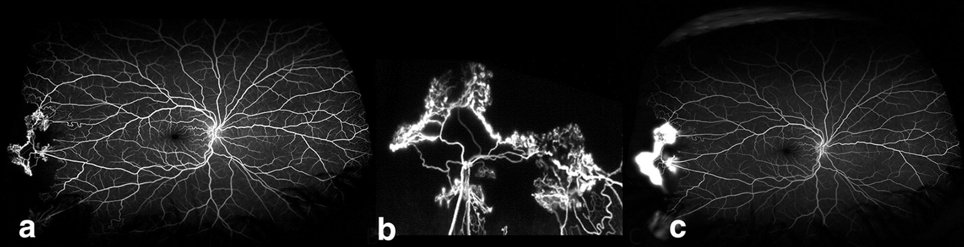 Fig. 2