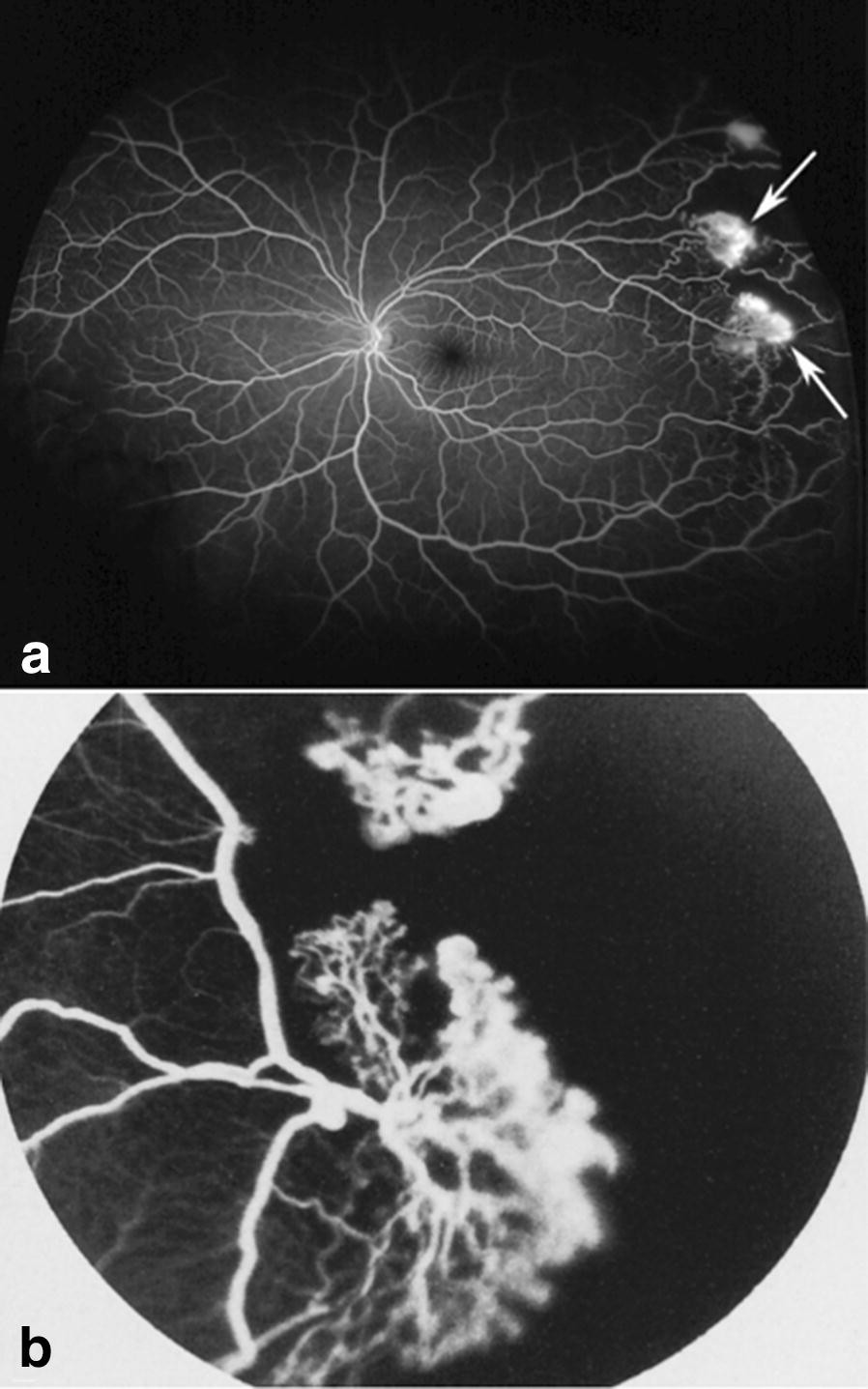 Fig. 6