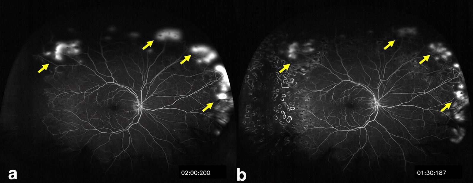 Fig. 8