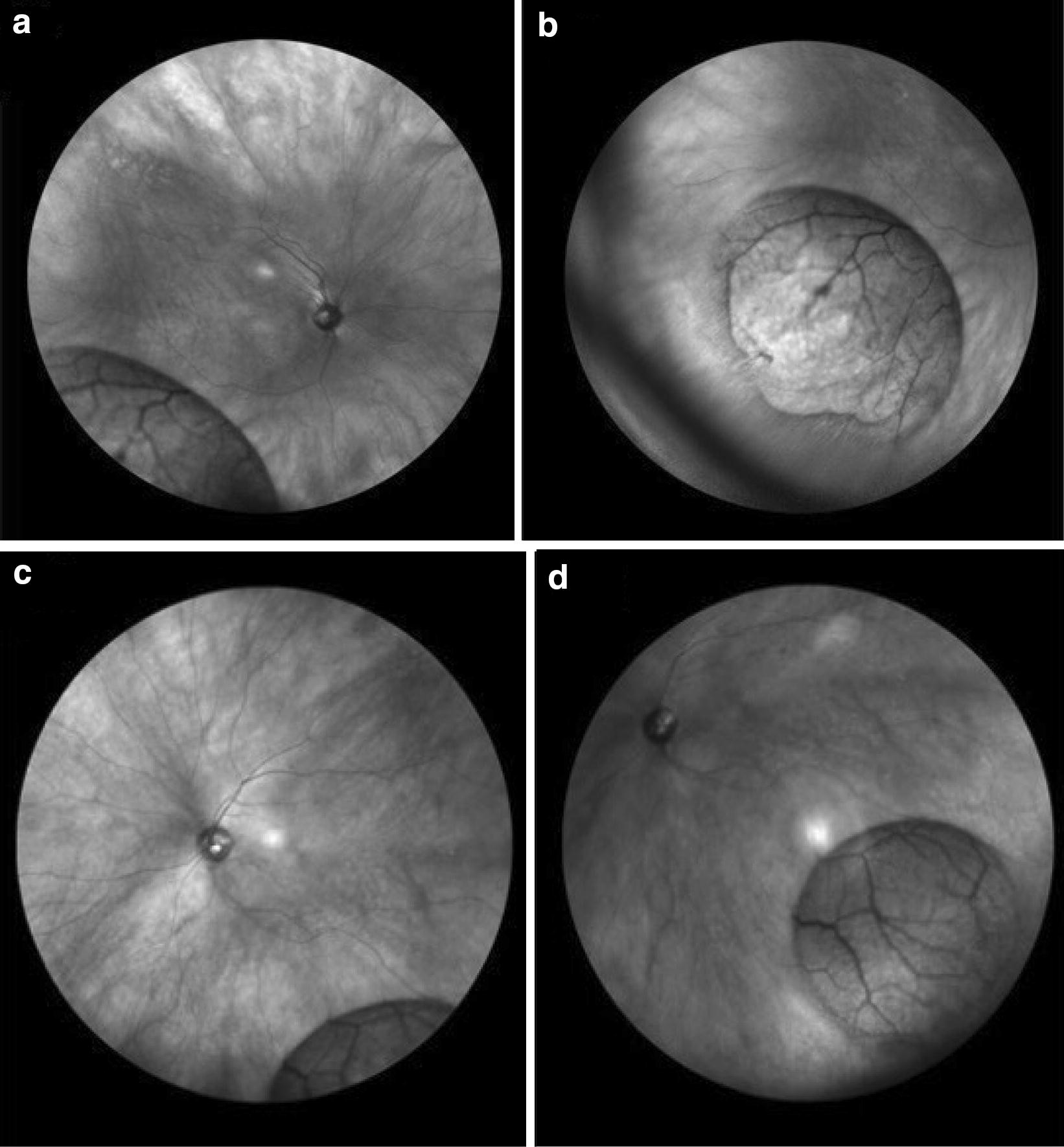 Fig. 5