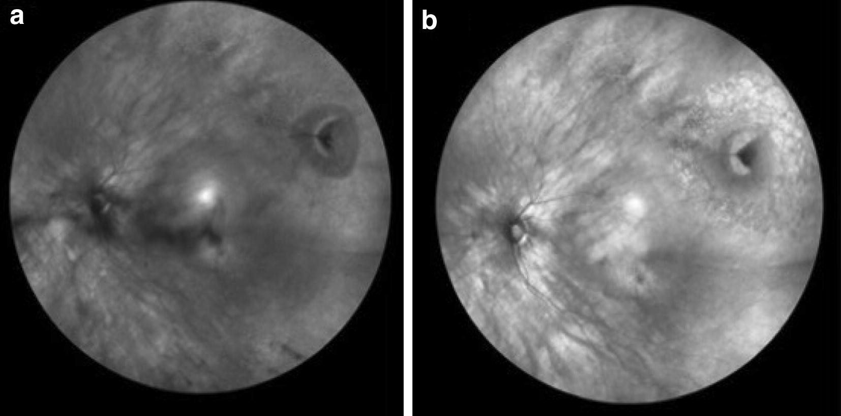 Fig. 7