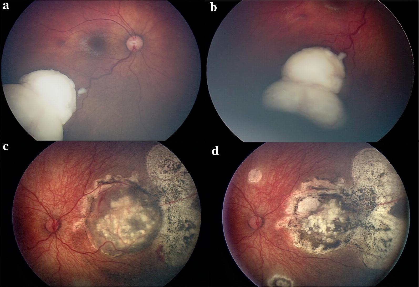 Fig. 3