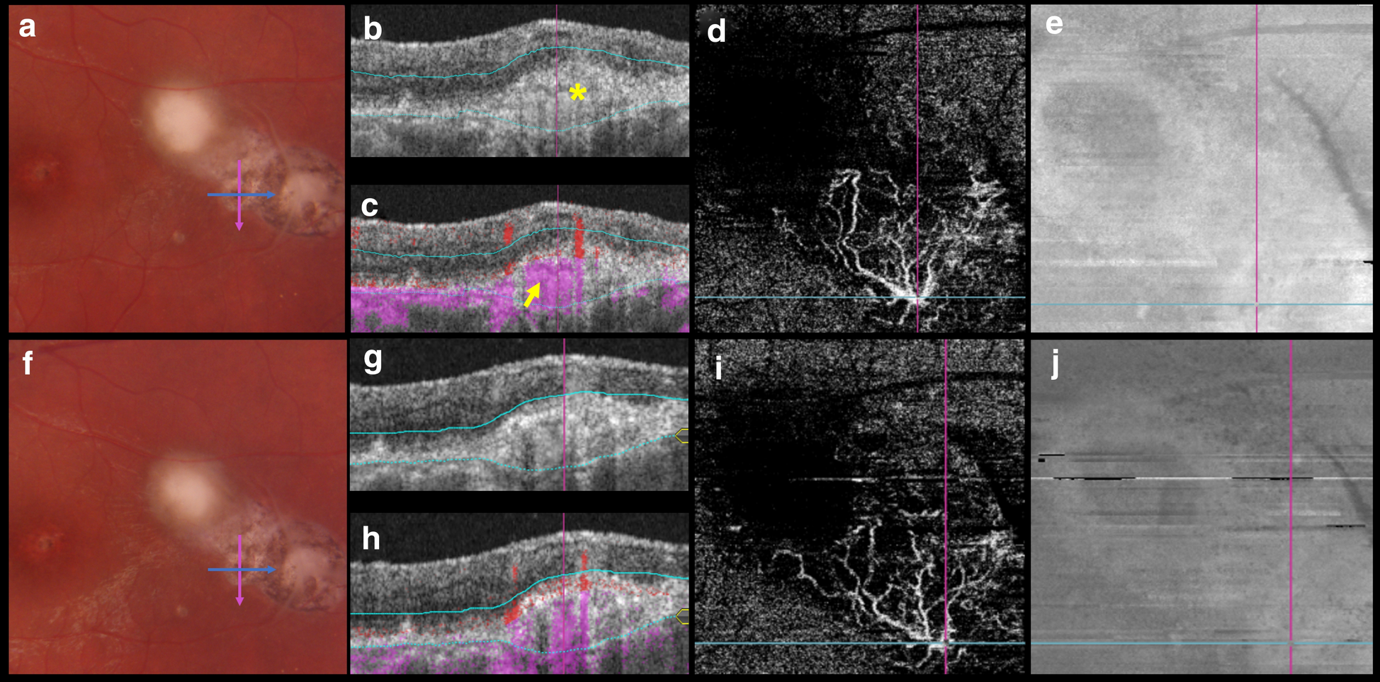 Fig. 3