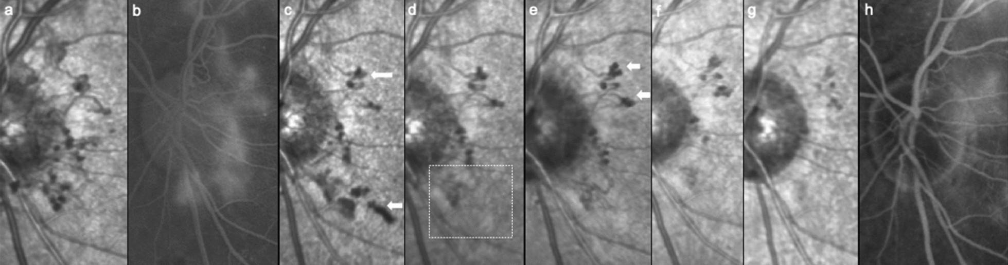 Fig. 6