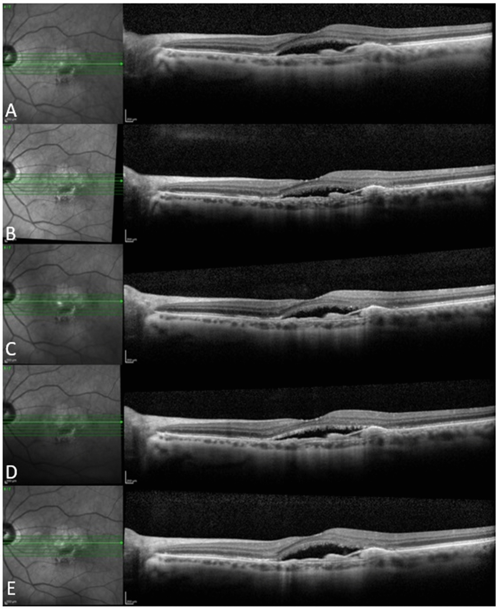 Fig. 5